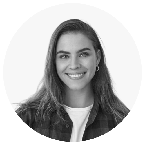 chatbot development bot development